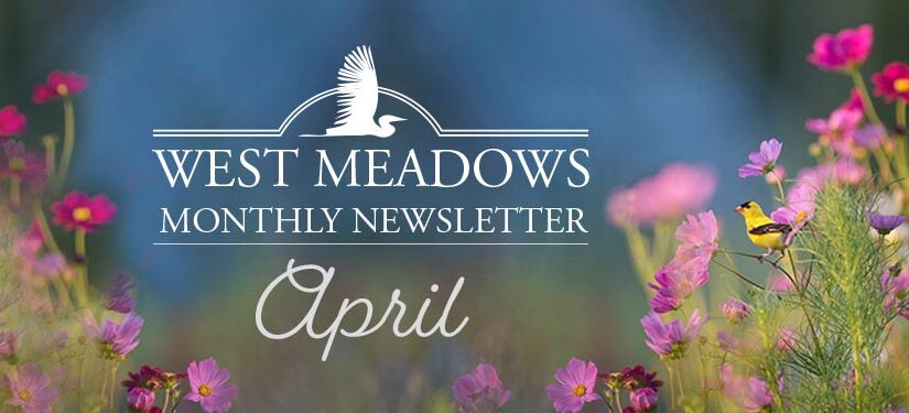 April Newsletter 2021