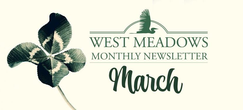 March Newsletter 2021