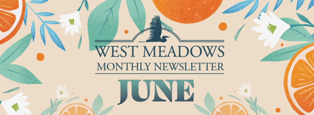 June 2024 Newsletter