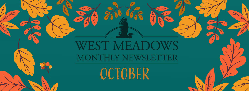 October 2024 Newsletter